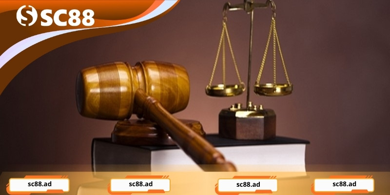 Giới thiệu về quy định SC88