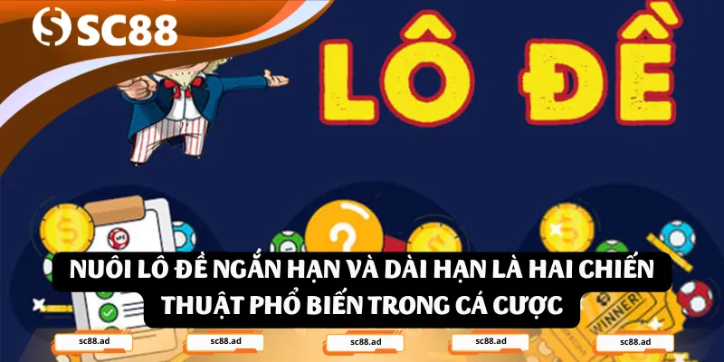 Nuôi lô đề ngắn hạn và dài hạn là hai chiến thuật phổ biến trong cá cược