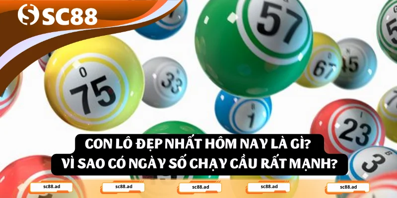 Con lô đẹp nhất hôm nay là gì? Vì sao có ngày số chạy cầu rất mạnh?
